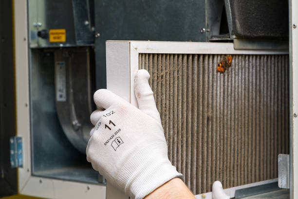 Best Affordable HVAC Duct Cleaning  in Arbutus, MD