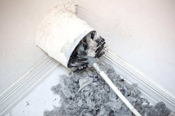 Best Affordable Duct Cleaning Services  in Arbutus, MD